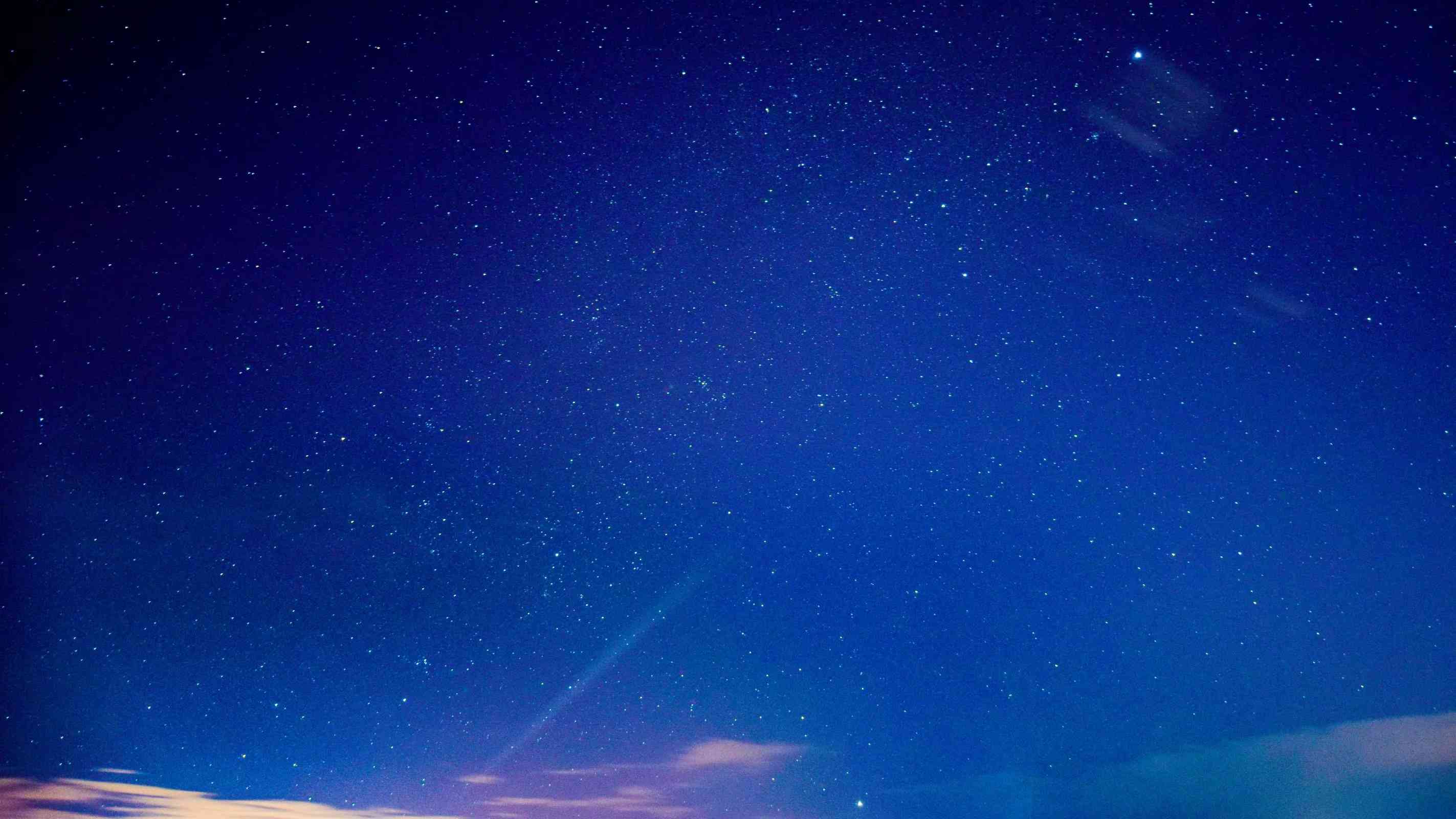 「捕获瞬间-01」最初的14天